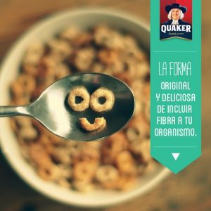 QUAKER CEREALES HONNEY NUT OATS 200 GR - Vista 4