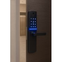 CERRADURA SMART C/ CAMARA HUELLA + PIN + TARJETA + LLAVE + APP PRONEXT