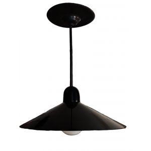 LAMPARA COLGANTE CHINO 1 LUZ BASICO NEGRO + LAMPARA GLOBO LED 12WTS FRIO