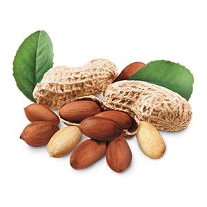 MANI TOSTADO MANI KING C/ CASCARA 175 GR - Vista 3