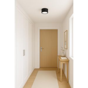 APLIQUE LED DE TECHO PRISMA ALUMINIO NEGRO 12W LEUK - Vista 2
