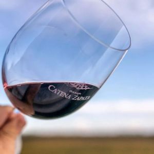 VINO DV CATENA MALBEC CABERNET 750 CC X 6 BOTELLAS - Vista 3