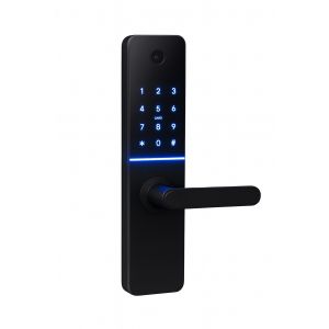 CERRADURA SMART C/ CAMARA HUELLA + PIN + TARJETA + LLAVE + APP PRONEXT - Vista 2