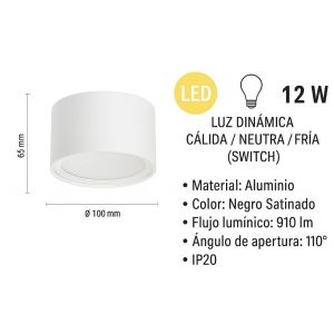 APLIQUE LED DE TECHO PRISMA ALUMINIO BLANCO 12W LEUK - Vista 2