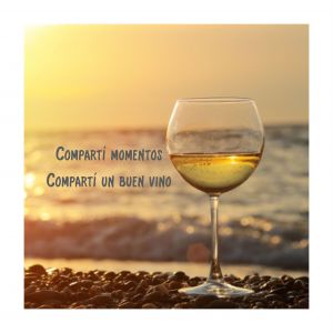 VINO ELEMENTOS CHARDONNAY 750 CC - Vista 2