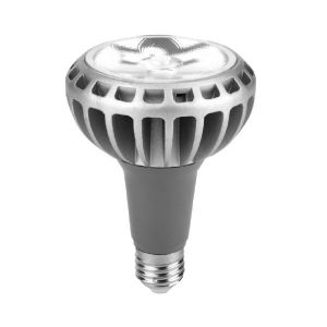LAMPARA PAR 30 LED 30W E27 DE ALUMINIO MACROLED - Vista 3