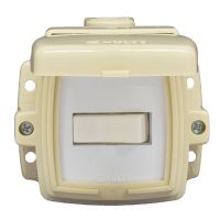 CAJA CAPSULADA EXTERIOR 1 PUNTO C/ TAPA EXTERIOR EXULTT